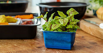 ANL Packaging emballage agriculture